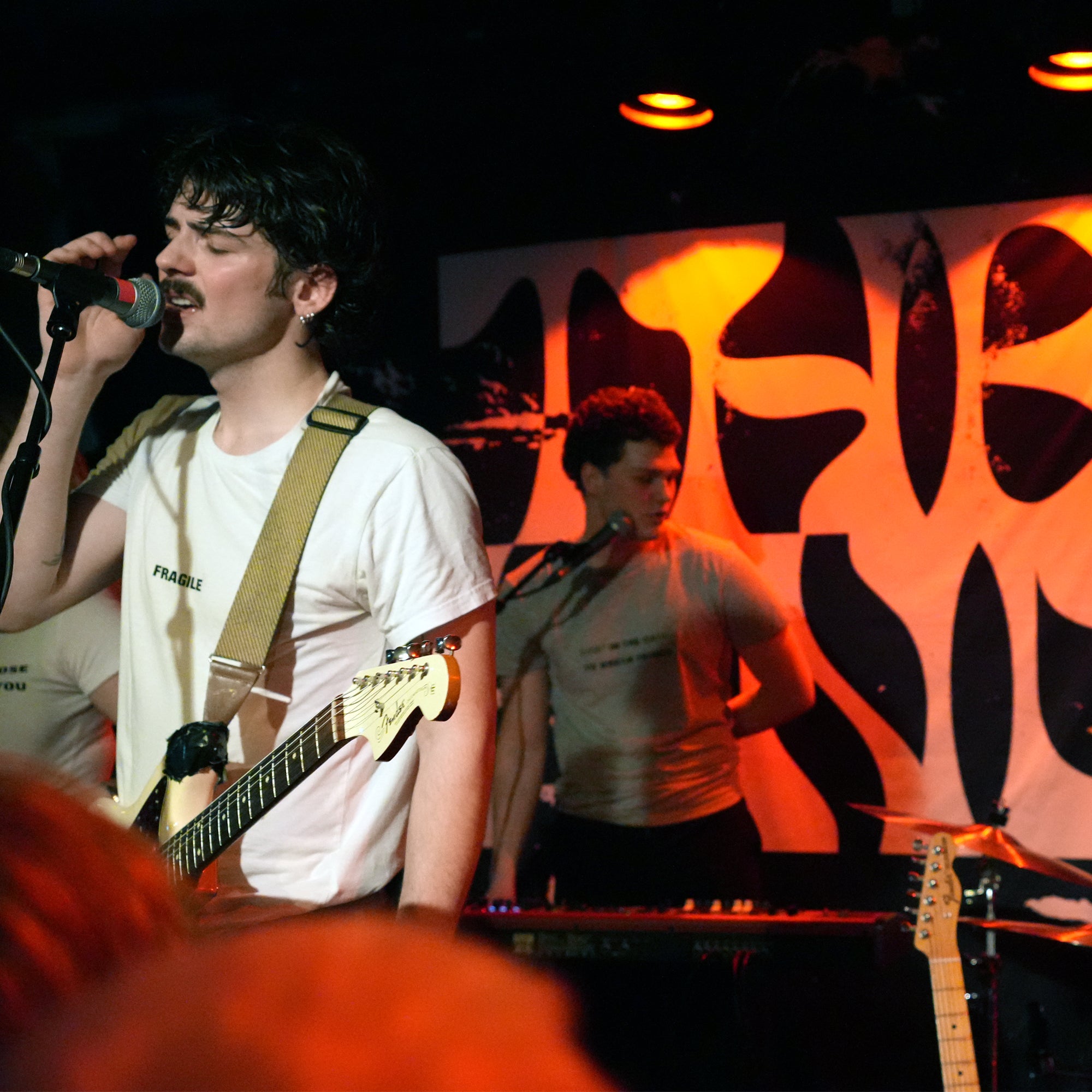 Custom Printed Stage Backdrop